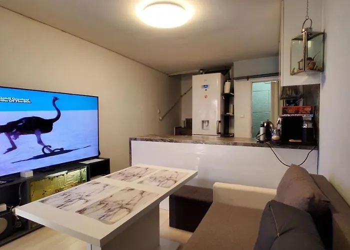 Deluxe Center House With Garden's Tent ,2 Bedrooms And Living Next To The And Sea Garden- 5 Min By Walk,with Equiped Kitchen Burgas